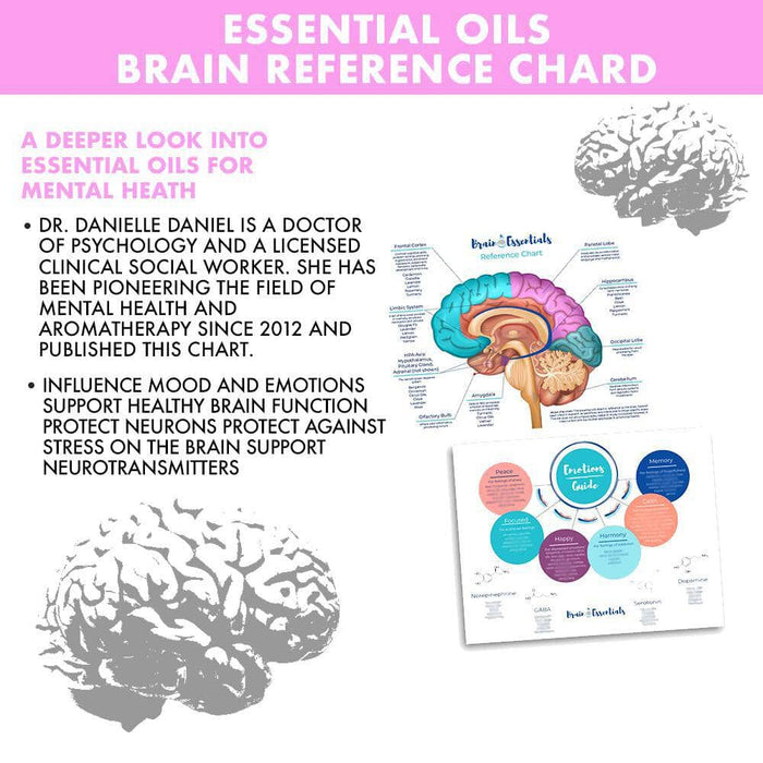 Brain Chart by Dr. Danielle Daniel at Your Oil Tools