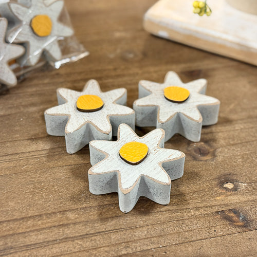 Decorative Daisies