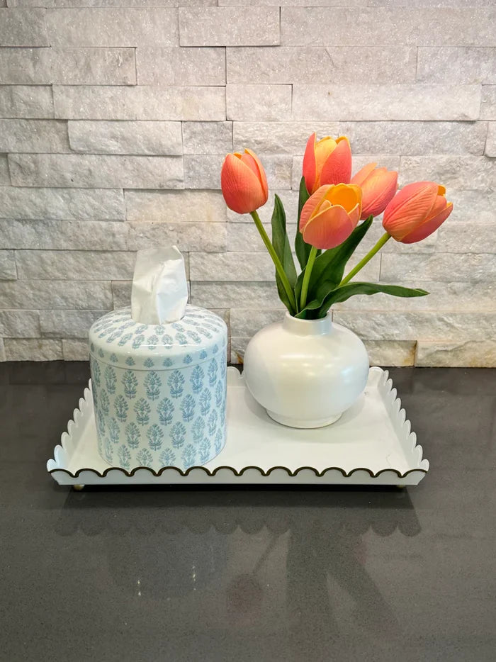 Light Blue & White Tissue Holder