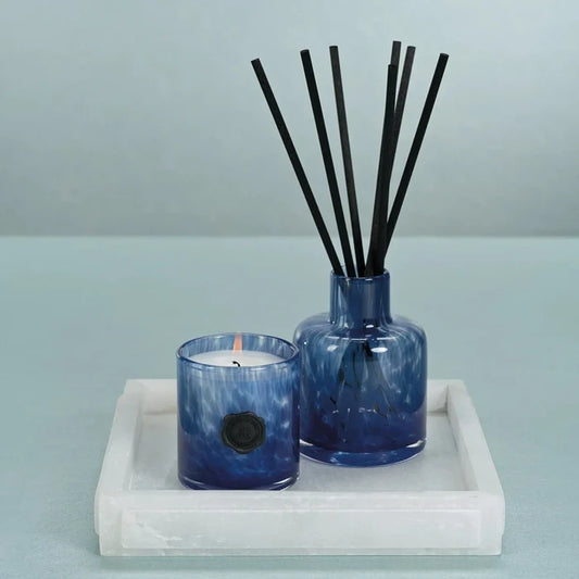 Apothecary Guild 4oz Reed Diffuser - Sea Salt & Coastal Mist