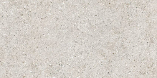 Light grey rectangular stone effect tile.