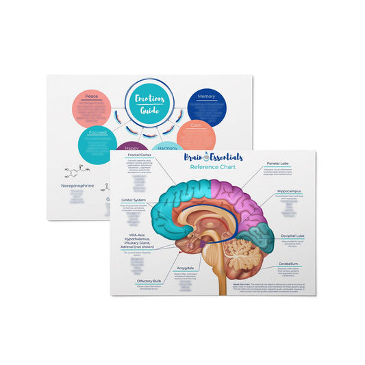 Brain Chart by Dr. Danielle Daniel at Your Oil Tools