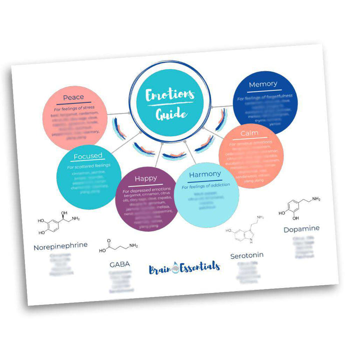 Brain Chart by Dr. Danielle Daniel at Your Oil Tools