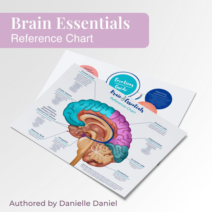 Brain Chart by Dr. Danielle Daniel at Your Oil Tools