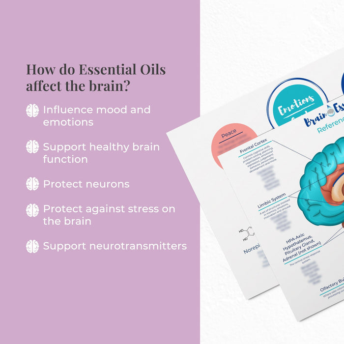 Brain Chart by Dr. Danielle Daniel at Your Oil Tools