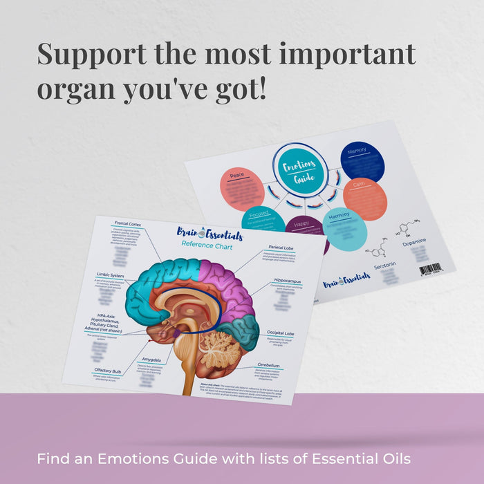 Brain Chart by Dr. Danielle Daniel at Your Oil Tools