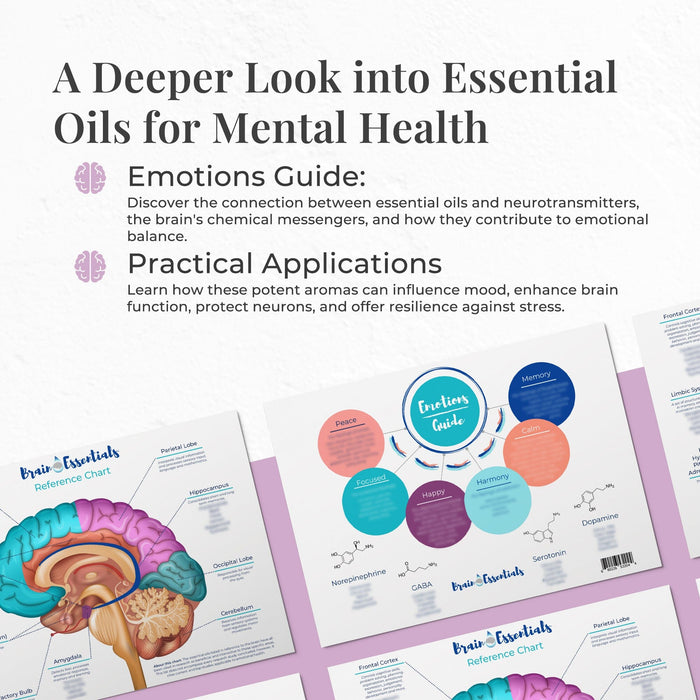 Brain Chart by Dr. Danielle Daniel at Your Oil Tools