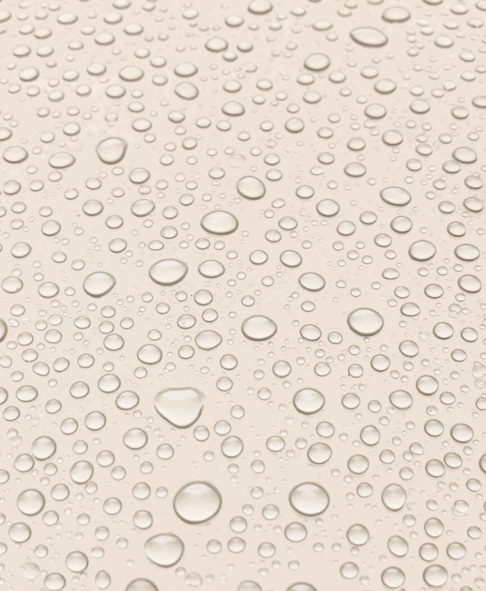 Bronsun -  Saline Solution