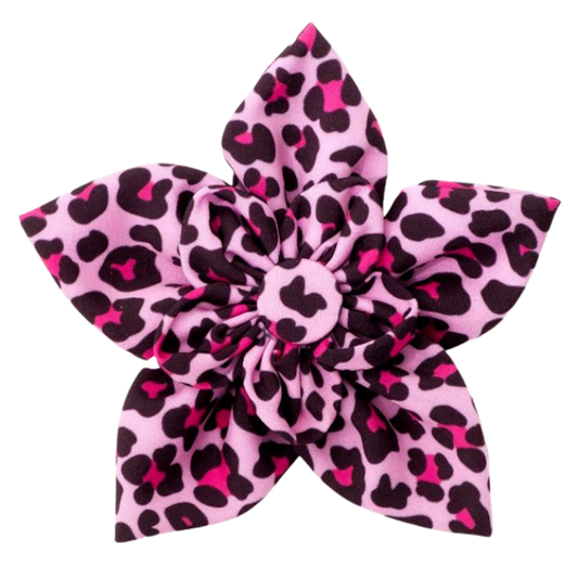 DOG-COLLAR-SLIDER-FLOWER-PINK-LEOPARD-PRINT