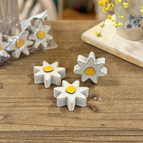 Decorative Daisies
