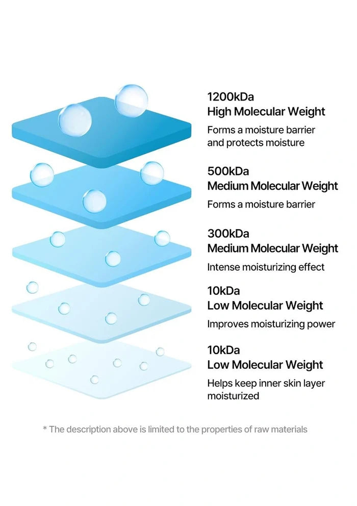 Diagram of different molecular weight levels with corresponding functions on a white background