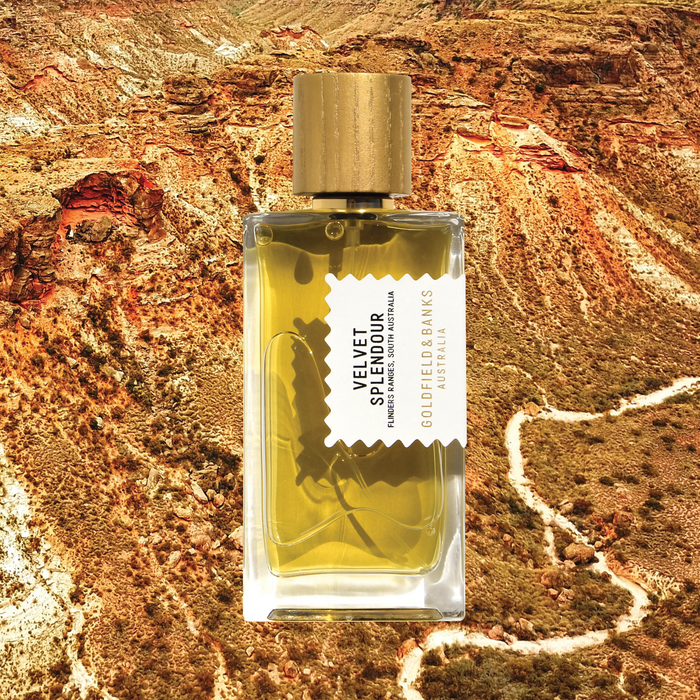 Velvet Splendour Perfume Concentrate